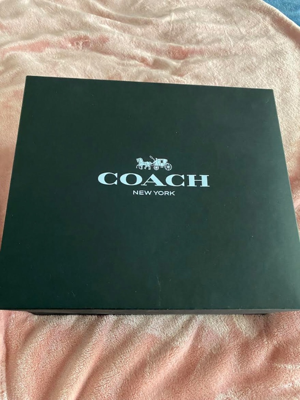 Vintage Mini Coach Tote #L2J-9509 with Dust Cover and Box - Picture 4 of 10